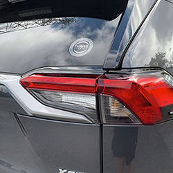 Thrive Decal